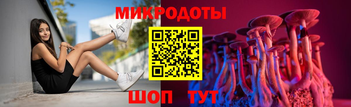 Галлюциногенные грибы Magic Shrooms  Галлюциногенные грибы Psilocybe  купить закладку  Вход с VPN  Чебоксары 